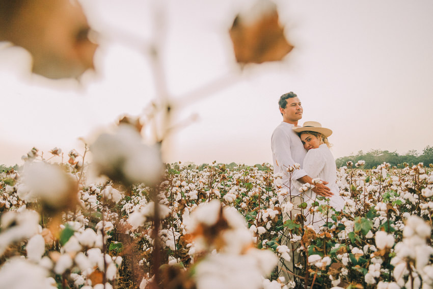 Descripción de la imagen 42